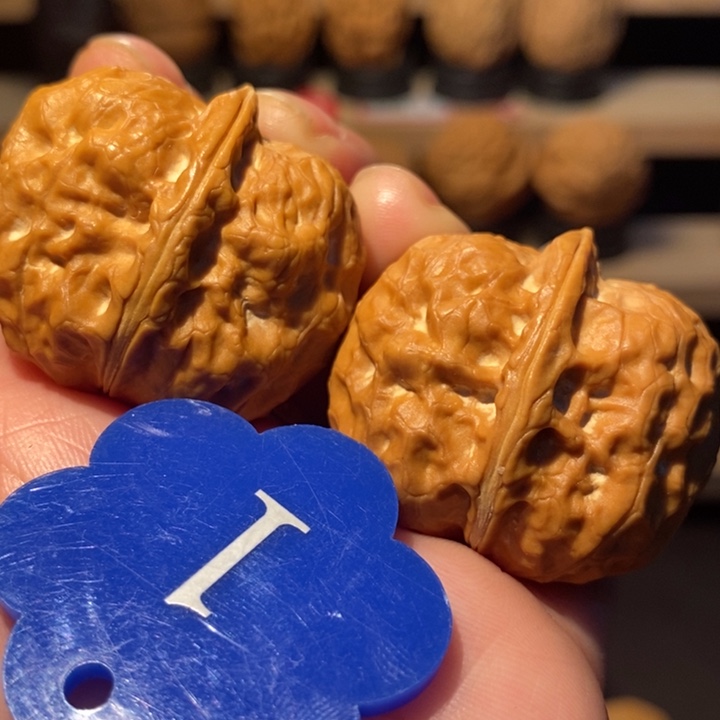 木质类元宝金蟾36尺寸