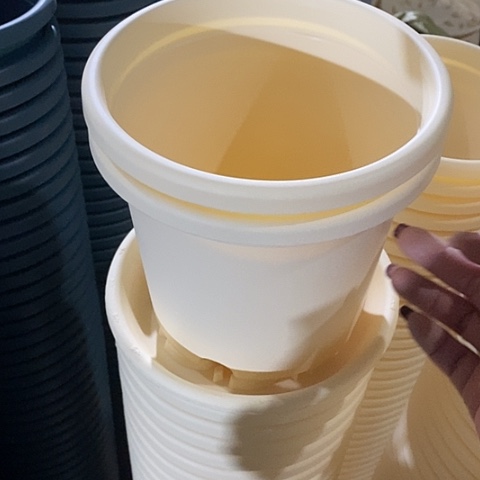 树脂四季2号6个带托米黄