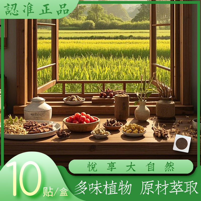 轻松曲线丨蛇年必备丨芊芊贴