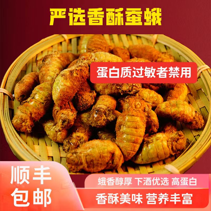 新鲜东北特产雄蚕蛾公蛾已脱毛炒毛蚕蛾速冻