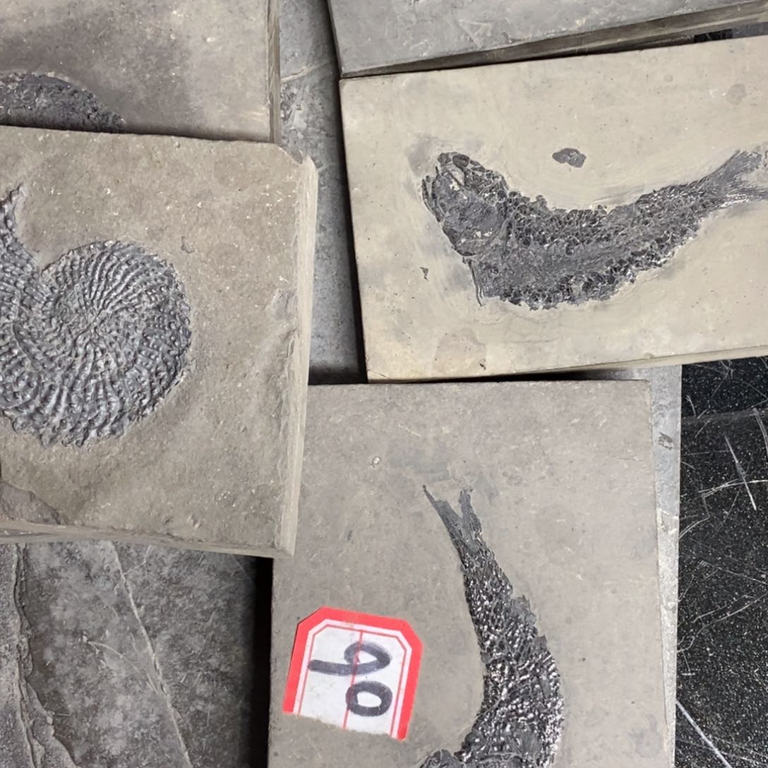 石材我****么大自然的秘密就是这样神奇