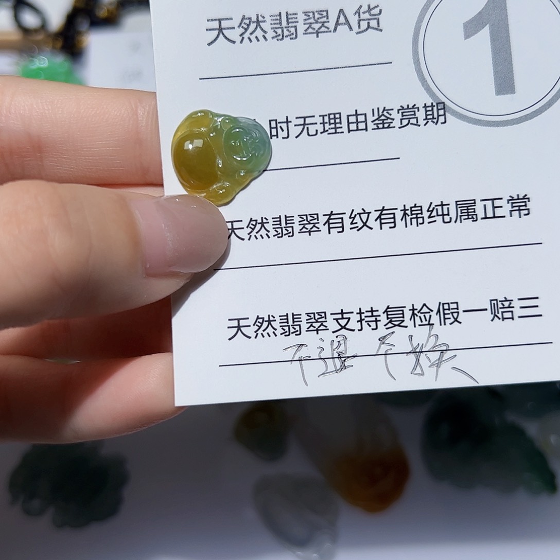 翡翠未镶嵌颈饰天然A货翡翠