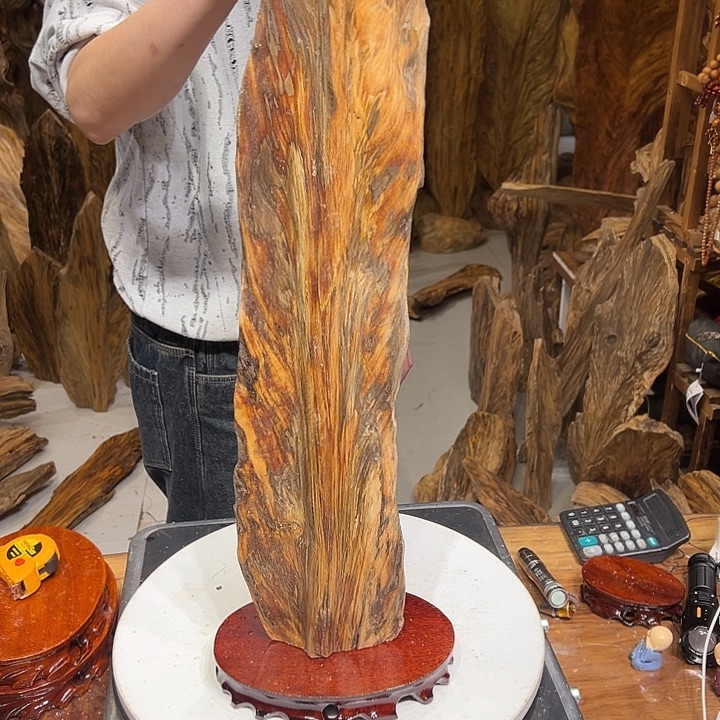 松木（琥珀木）回****忆