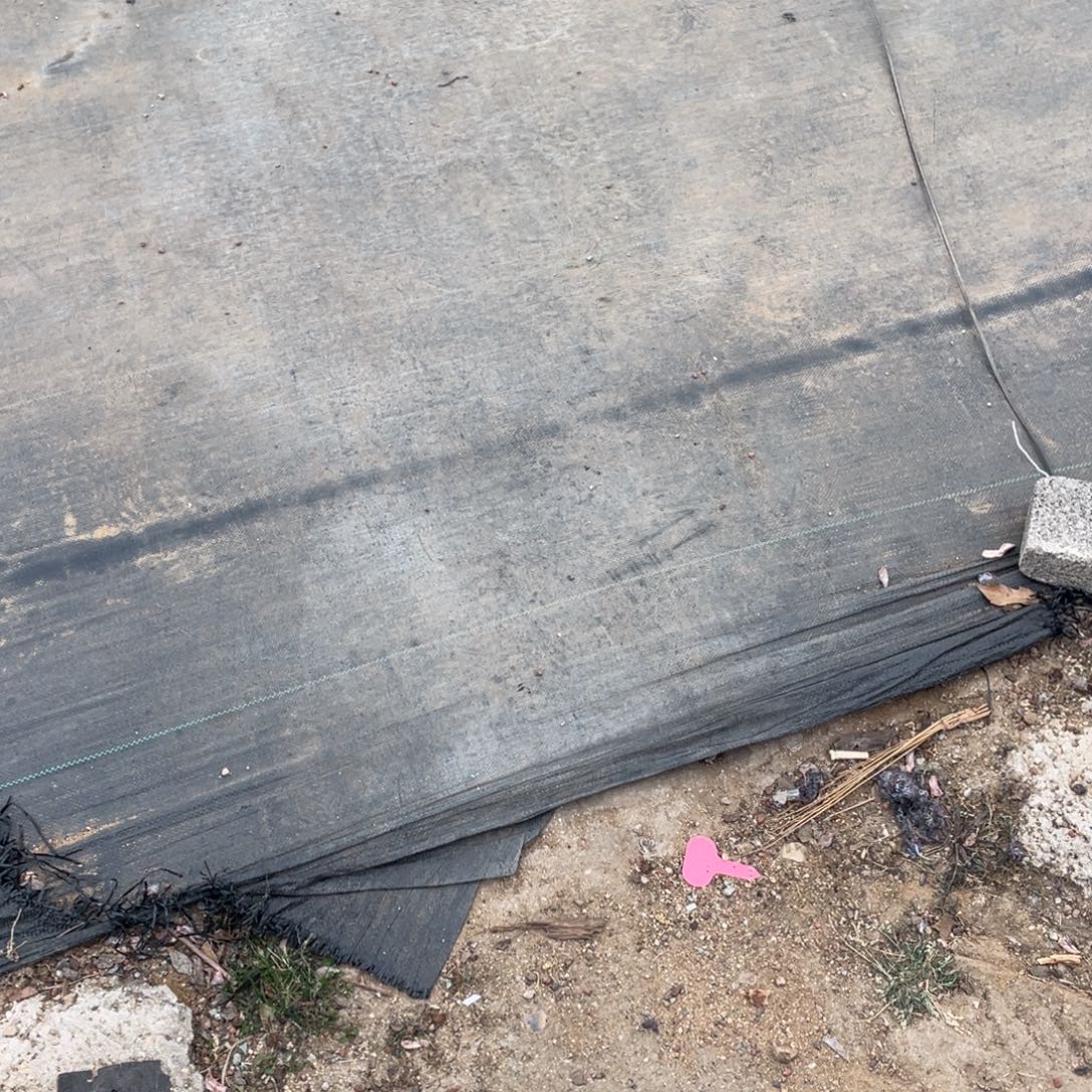 狮***喵石榴子星影450分期付35余额15