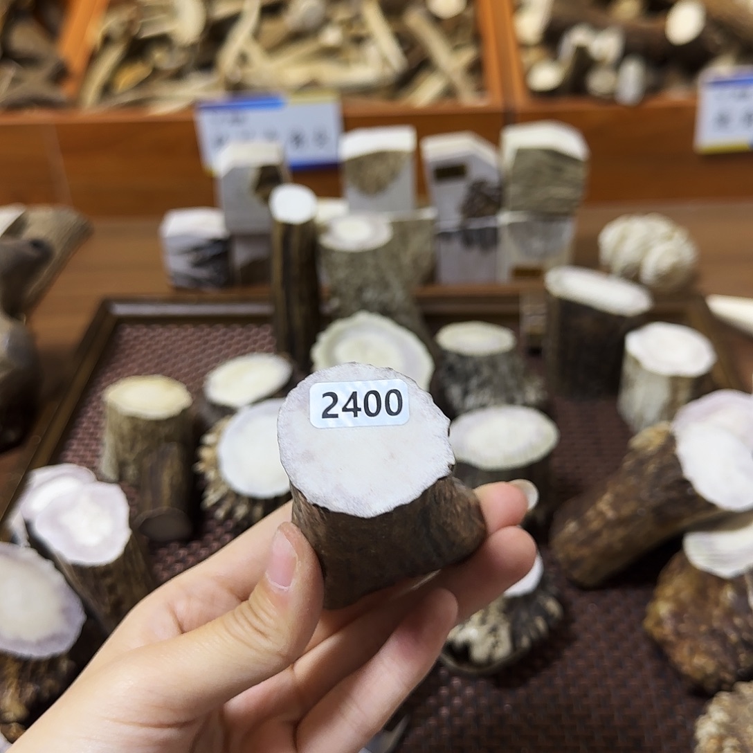 手串/手链鹿骨2400根段