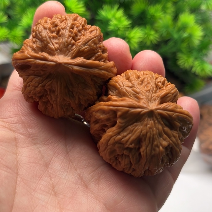 核桃文玩核桃大粗筋42加