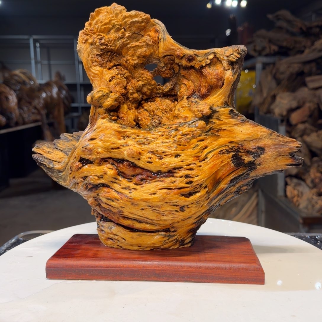 不***鱼木王一刀琥珀木摆件133