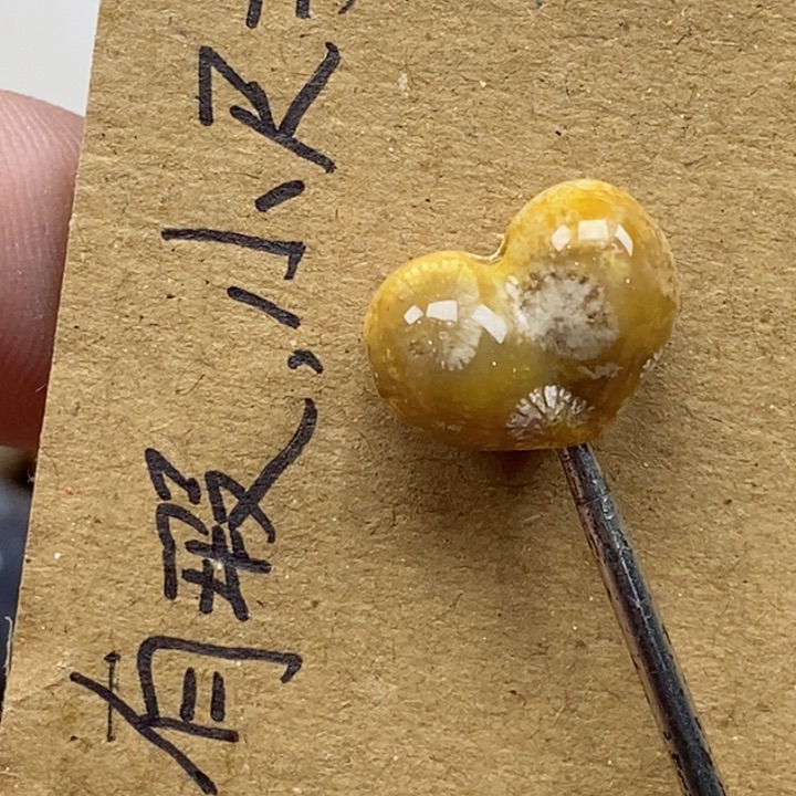 颈饰未镶嵌硅化珊瑚（珊瑚玉）