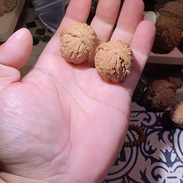 四***器全品没修白狮子一对