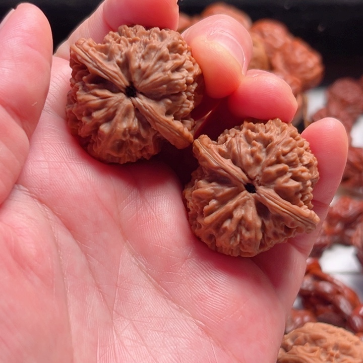 把件文玩核桃33尺寸晋公子