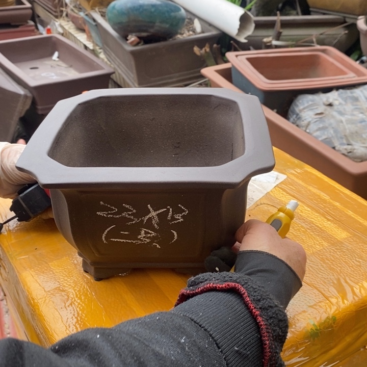 紫砂花盆自然然后呢