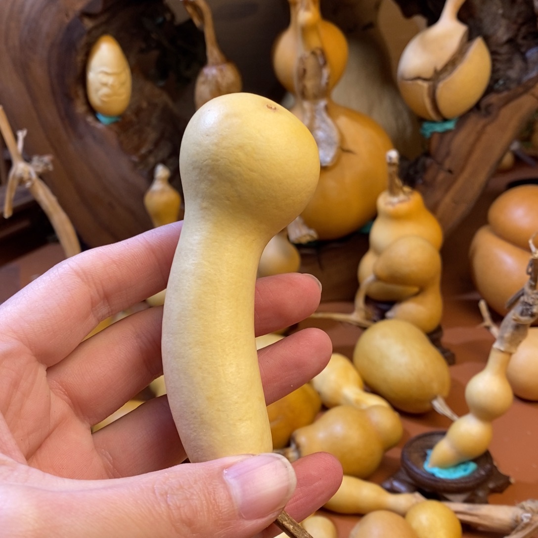 士***击教练来咯哦我哦哦哦咯