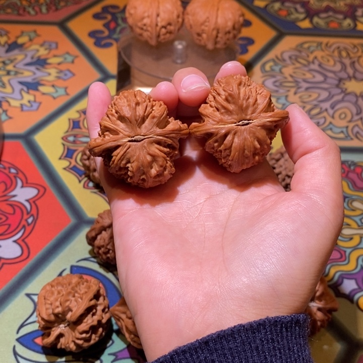 祉***?41三角白毕业毕业毕业毕业