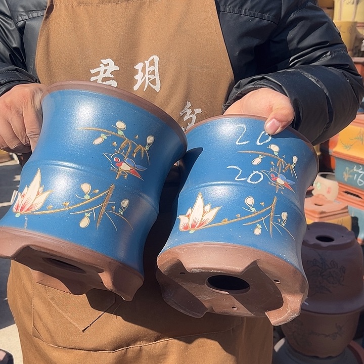 紫砂紫砂花盆盆栽