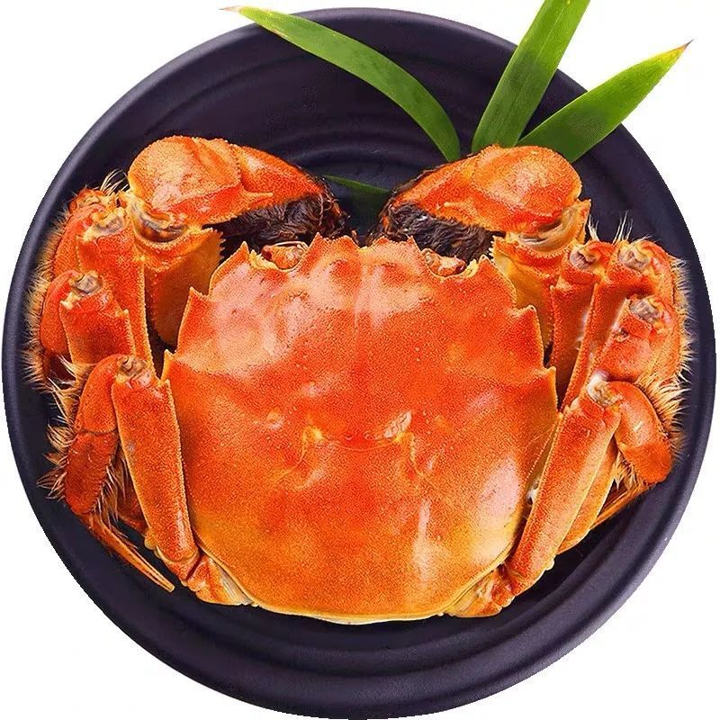 【活蟹】鲜活大闸蟹公蟹1.5-2两/只12只