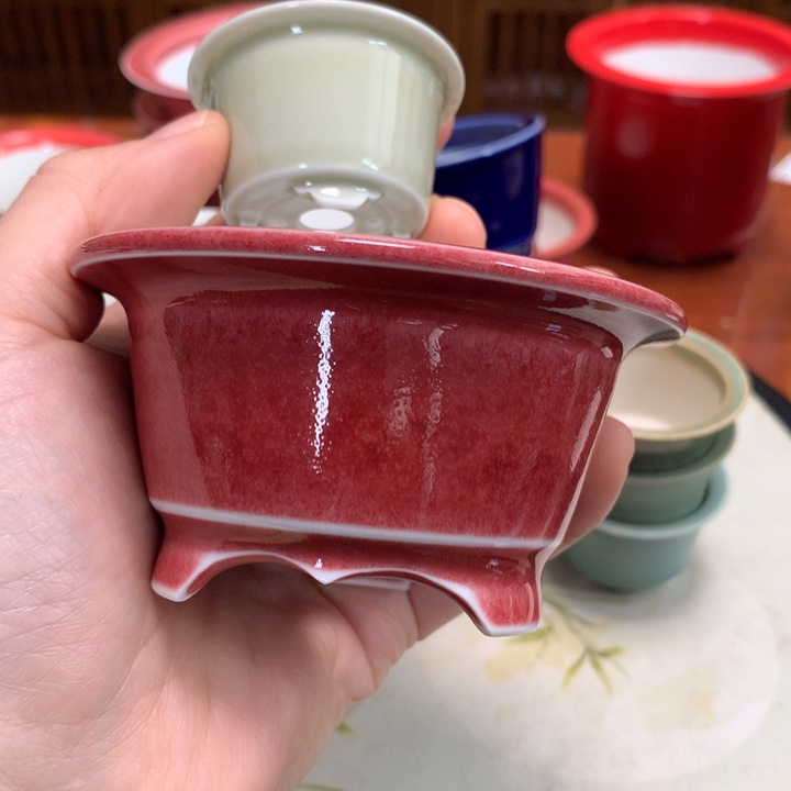 f***z陶瓷花盆 一物一拍
