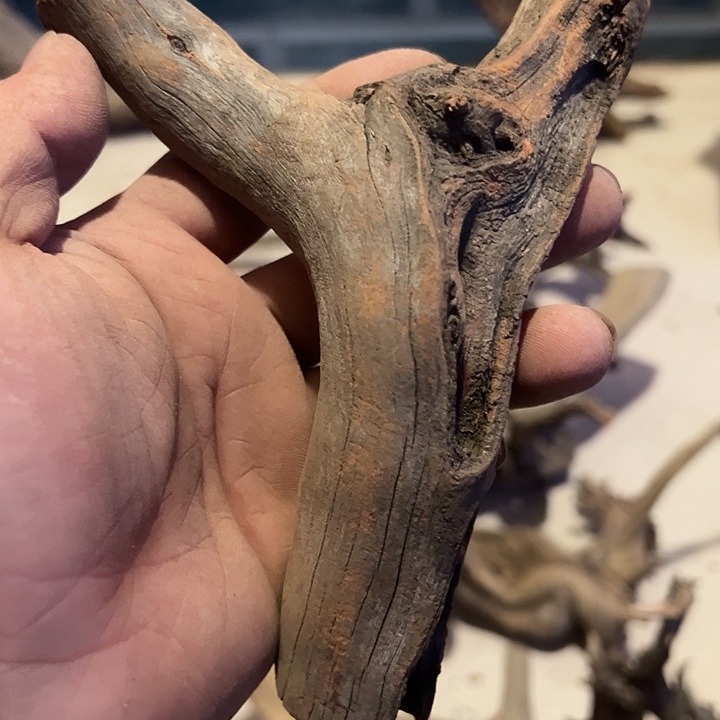 大叶紫檀（黑酸枝木类）李*三