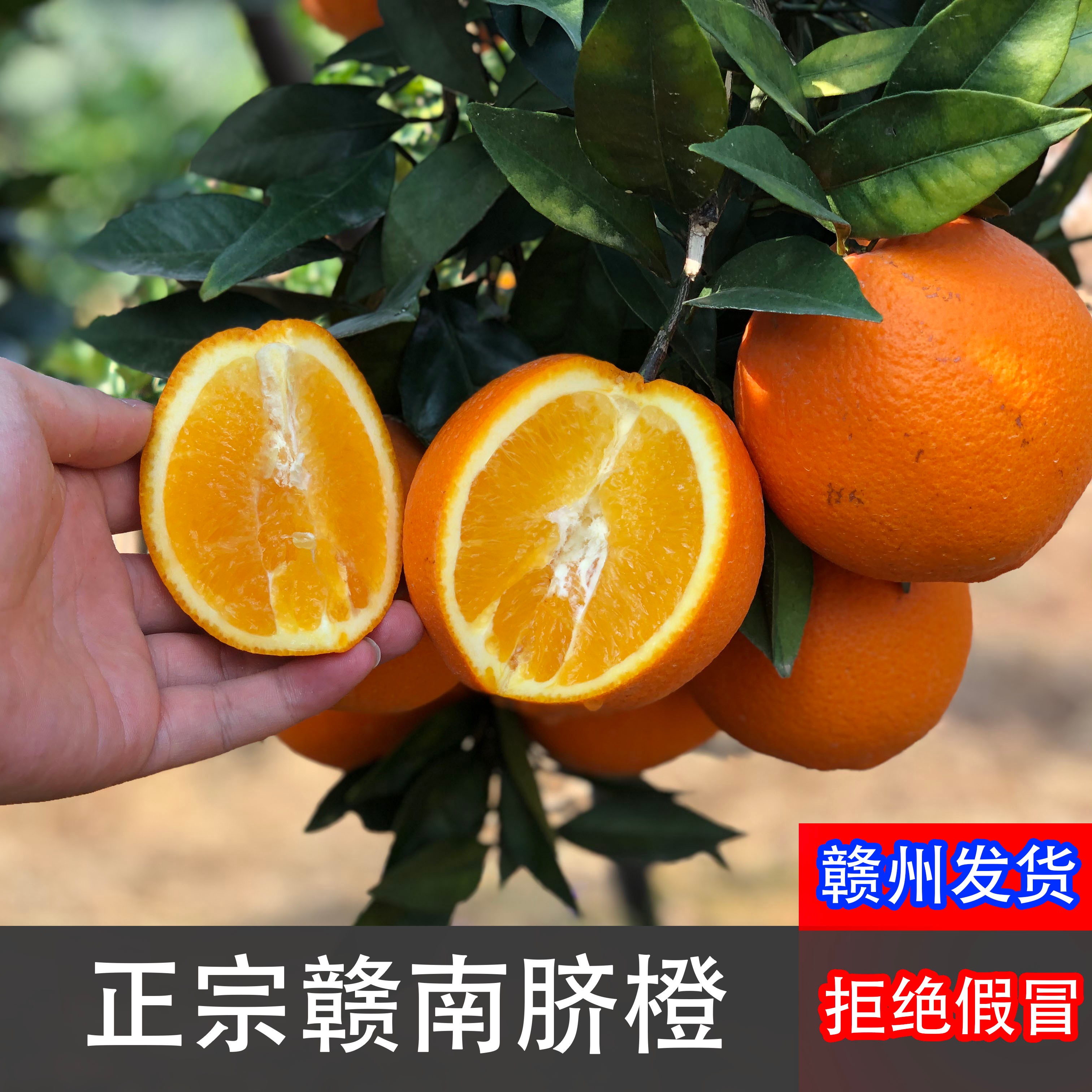 【京东上门】赣南脐橙新鲜当季水果现摘现发爆甜多汁孕妇水果爆汁L