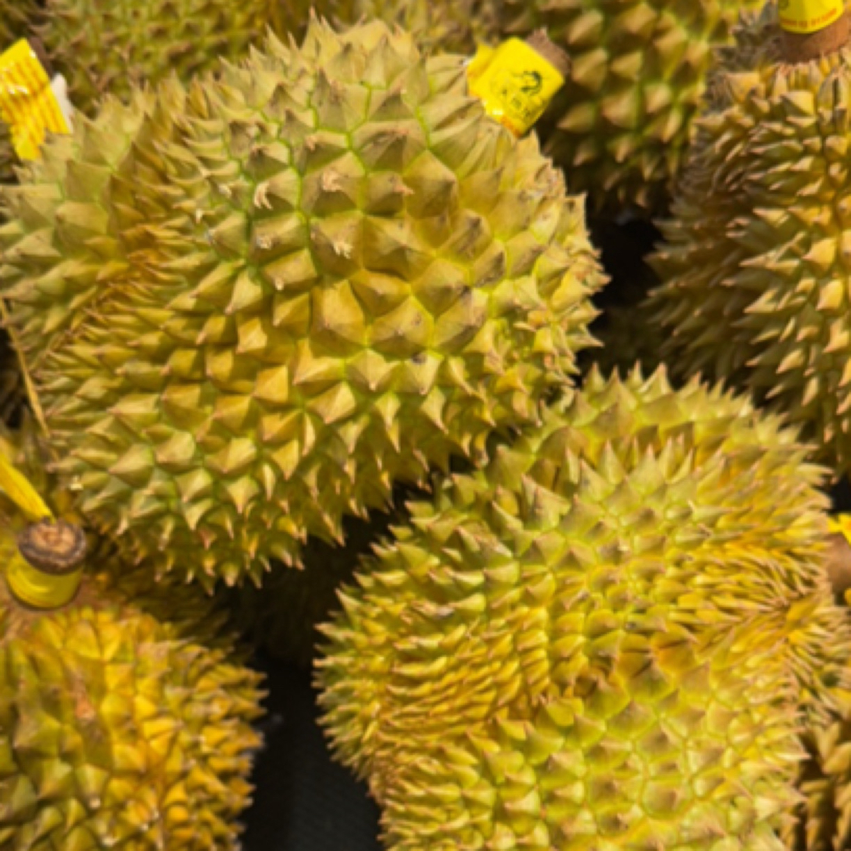 现开果肉 50/ 斤越南新鲜树熟金枕、核小肉多、干包大黄肉（不退不换）建议勿拍金枕越南