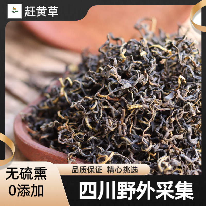 【赶黄草】四川野外采集赶黄草纯叶子头茬赶黄草150g包邮另售当归