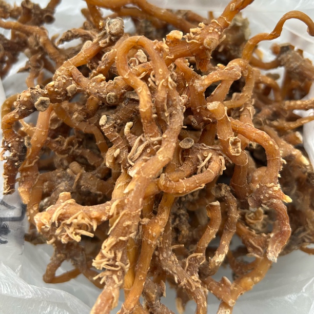 玉竹，关岭小王山货，晒干