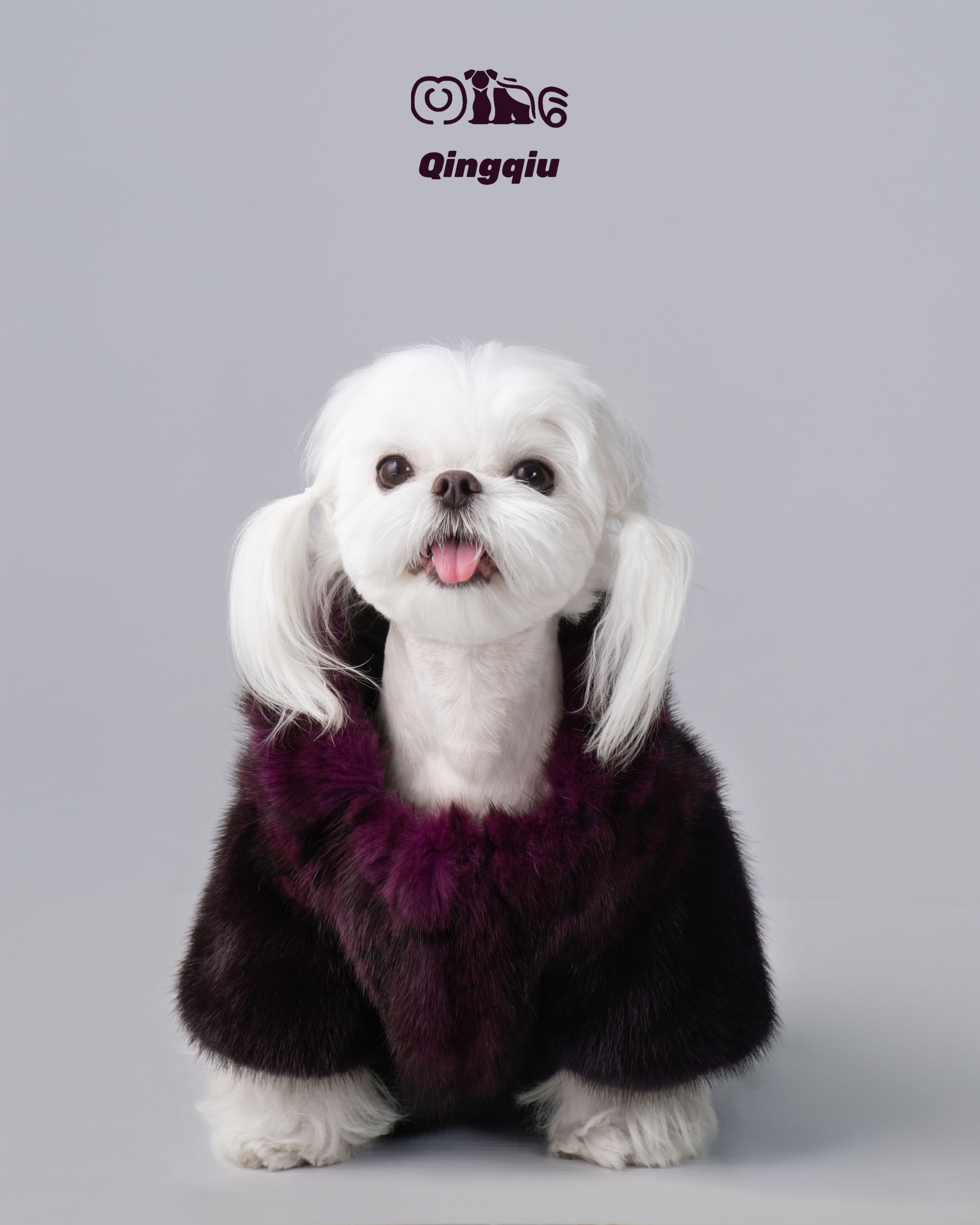 青丘本裘冬季新款小中型高定皮草时尚宠物卫衣“专属一狗一定制”