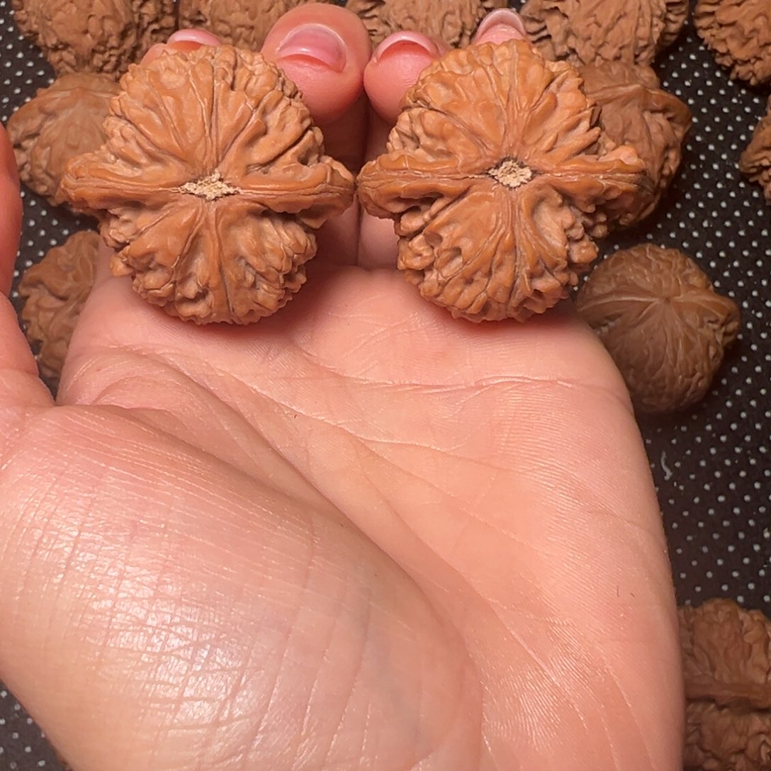 别***咯水龙纹，38，全品无修，