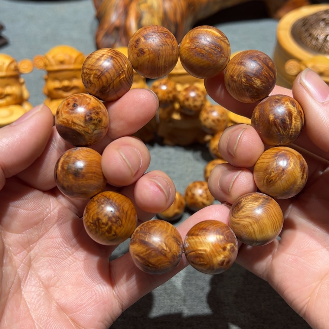 太行崖柏陈化太行