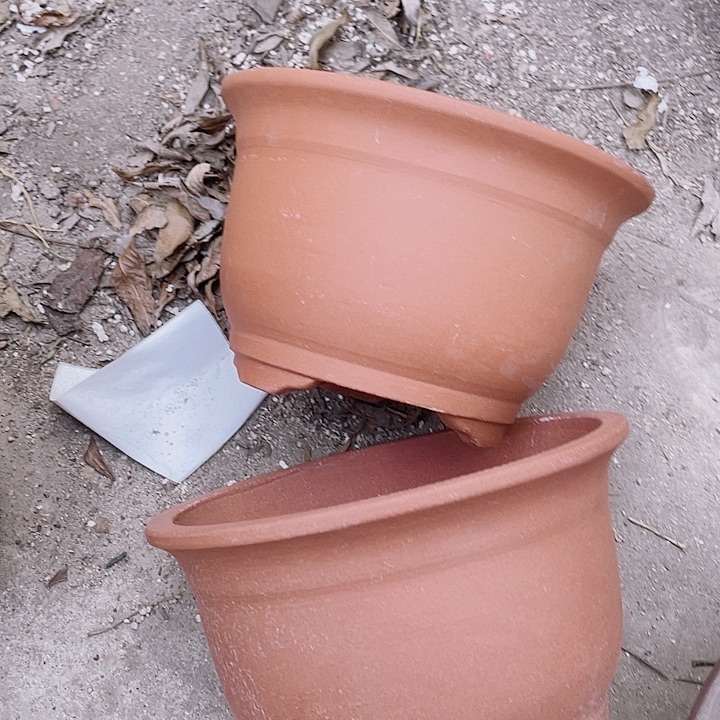 紫砂素面小马20/20花片