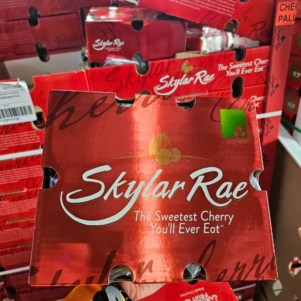 【正品斯凯拉雷/Skylar Rae2J-4J】空运4斤车厘子内附果径卡