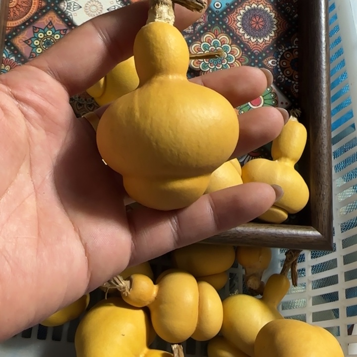 子***迅葫芦钱袋子葫芦手把件