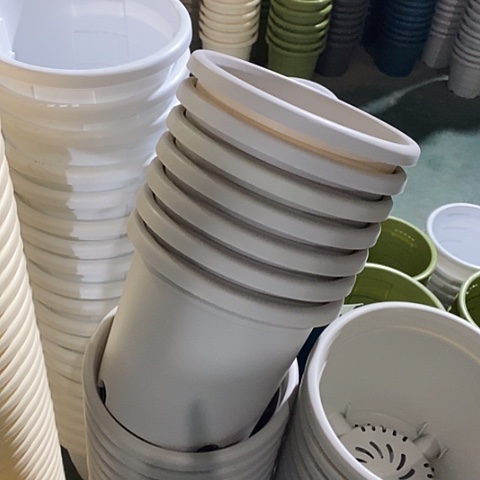 树脂微瑕3号10个无托灰白