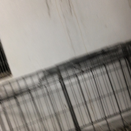 鸟类专用脚环用品用具