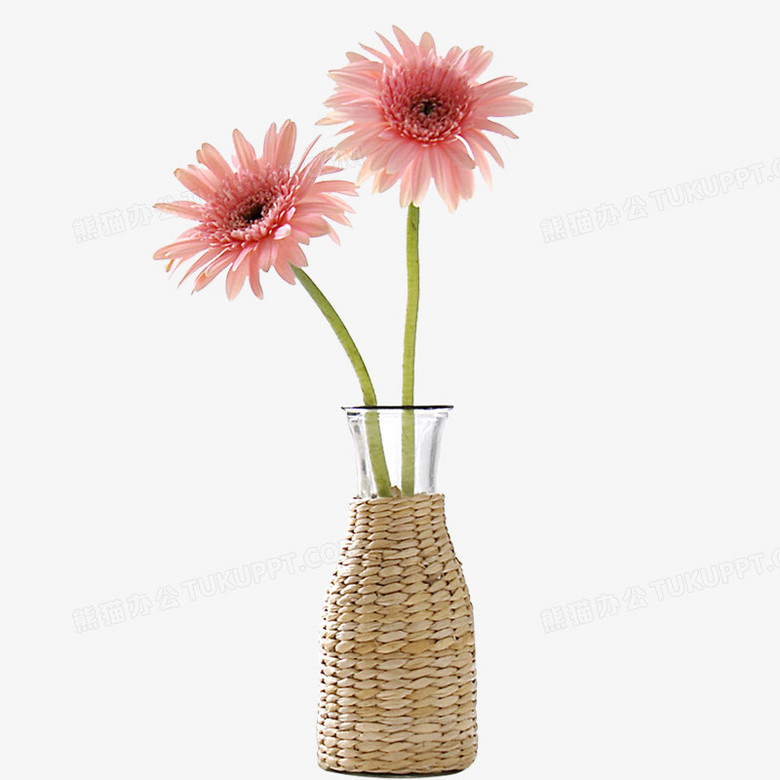 M251-M300简约透明高颜值花瓶适合水养富贵竹等鲜花干花作桌面摆