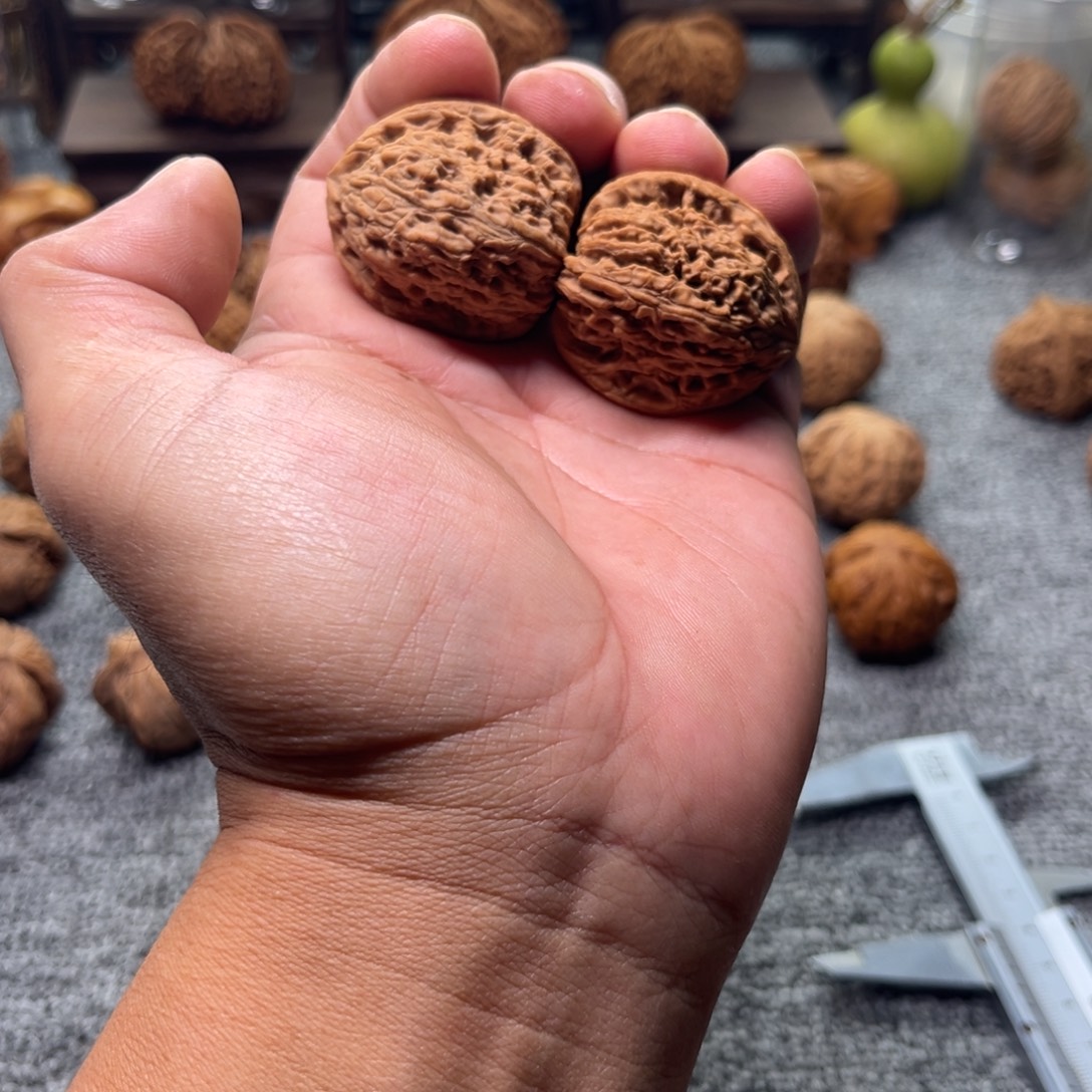 把件文玩核桃逐鹿南疆龟背