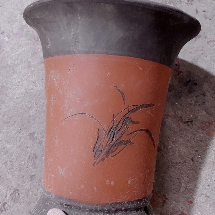 紫砂花片花哦坏a 18