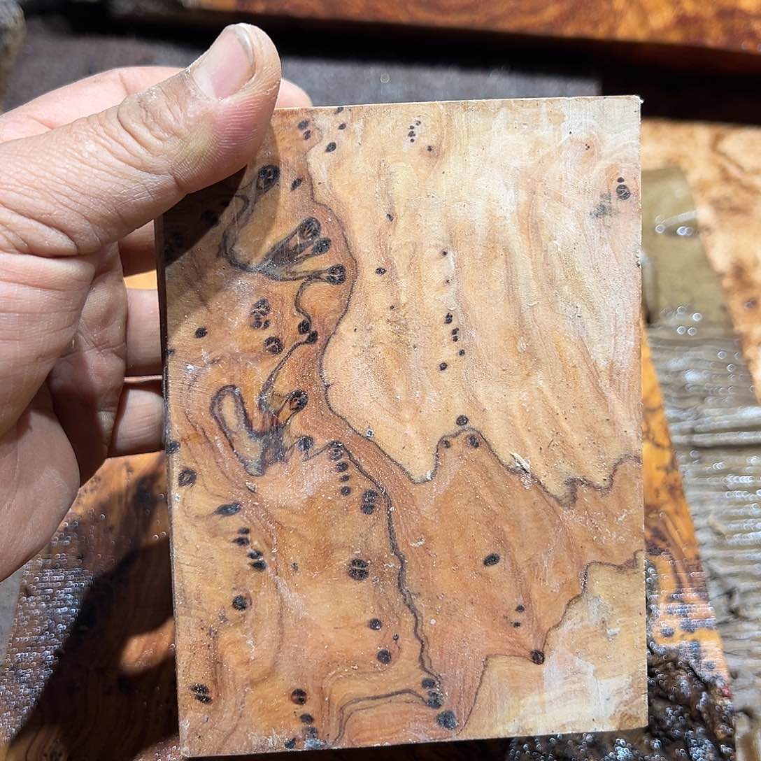 非洲檀香无事牌嗯****了