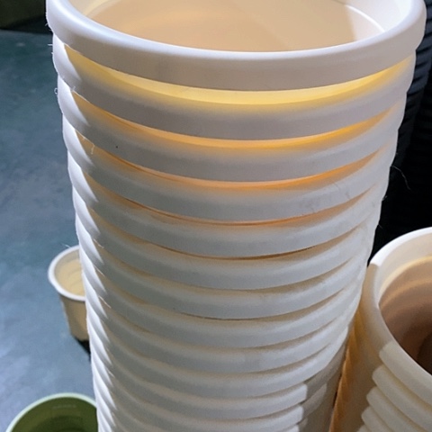 树脂四季3号米黄无托10个