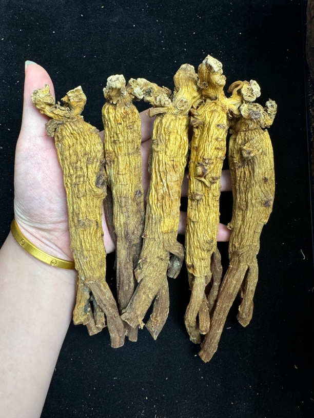 高丽参8年根 一代高丽种 很浓的参味 芦头大 纹路纵深