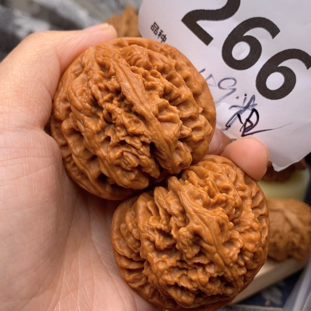 文玩核桃把件266号49粗筋