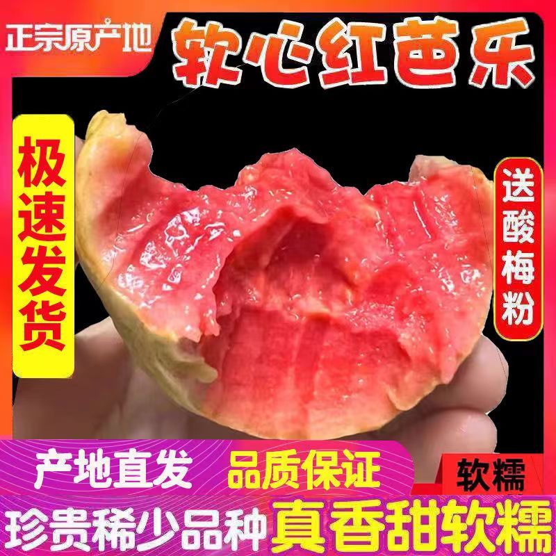 顺丰福建漳州红心芭乐果5斤软心糯台湾香番石榴水果整箱新鲜3斤