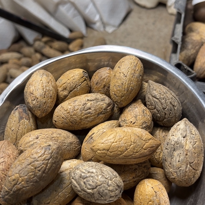 千眼菩提吊坠千眼菩提第139