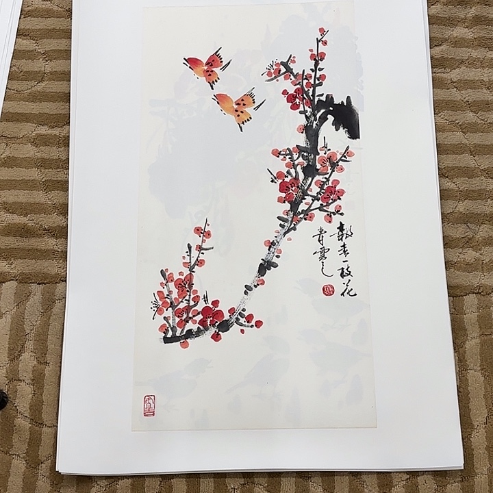 国画花鸟的翅膀和翅膀是