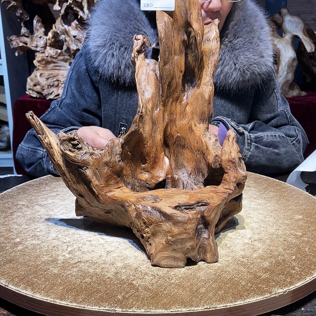 江***川693。株木随行根艺