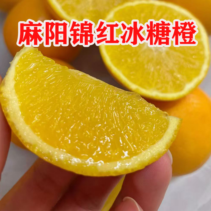 【春梅助农团队】麻阳锦红冰糖橙新鲜水果纯甜现摘现发整箱3斤5斤10