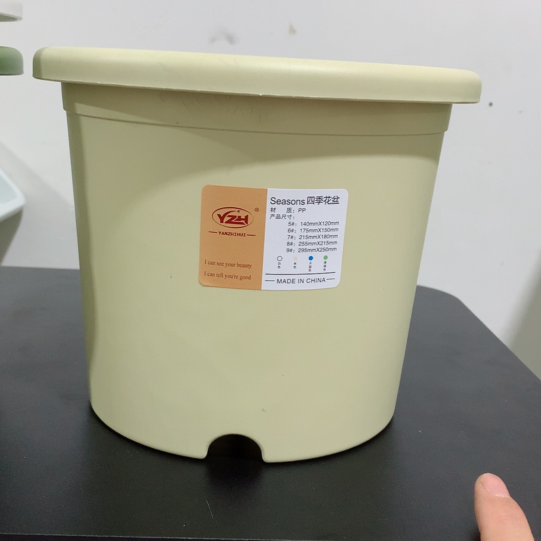 四季口21米黄5个无托