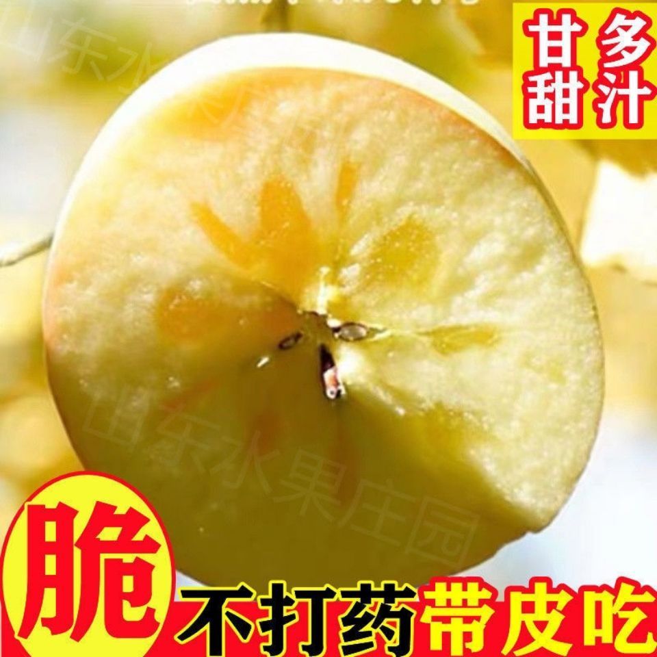 维纳斯黄金二级果微瑕6枚装奶油富士产地直发