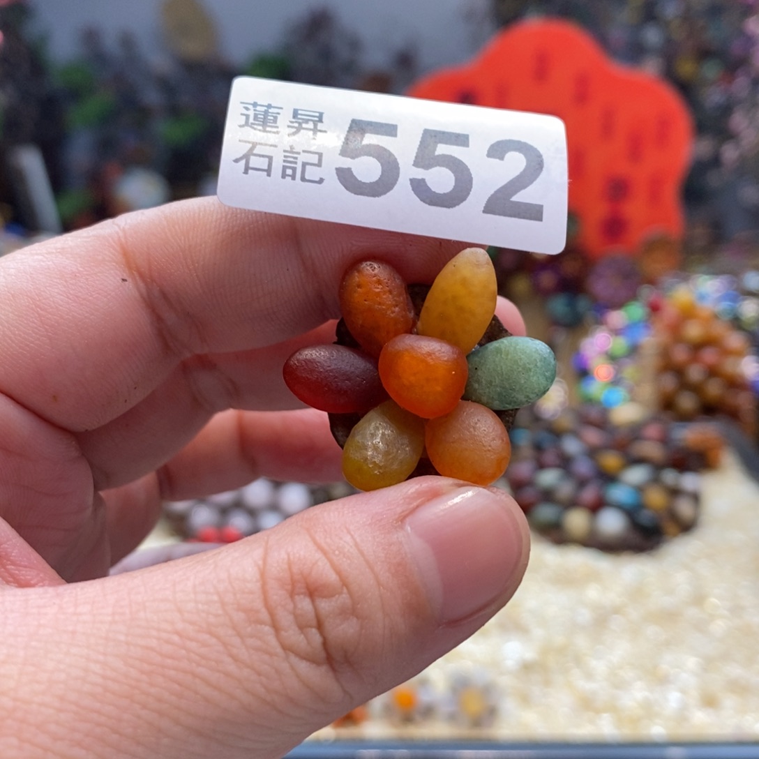 核桃木/黑胡桃（胡桃木）七552