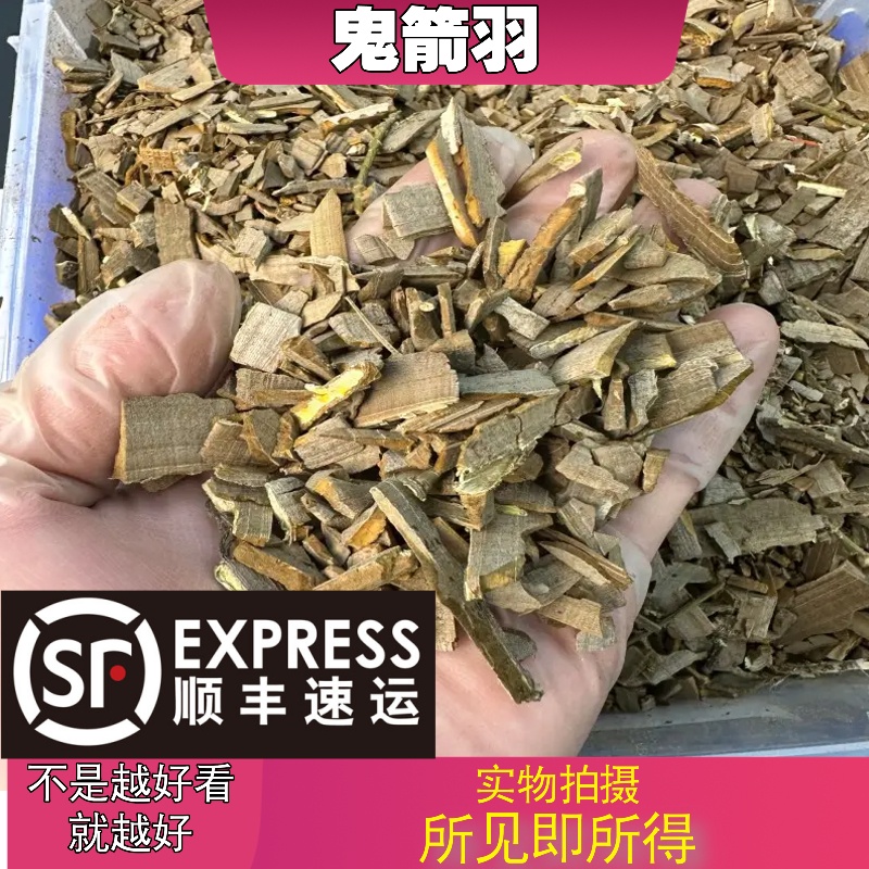 鬼箭羽成都中药材批发别名：含杆带杆鬼箭羽鬼剑雨