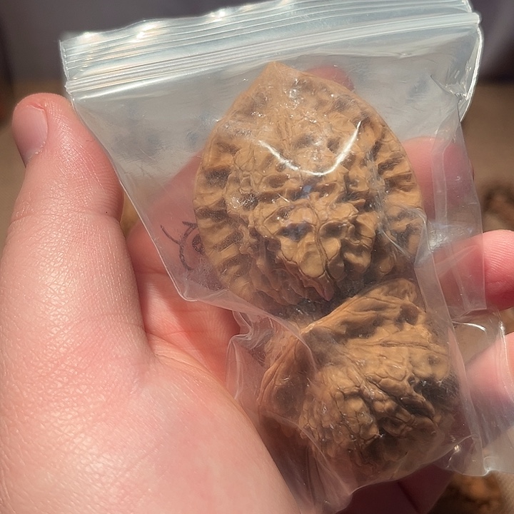 ****吊坠文玩核桃官帽核桃一对不包邮